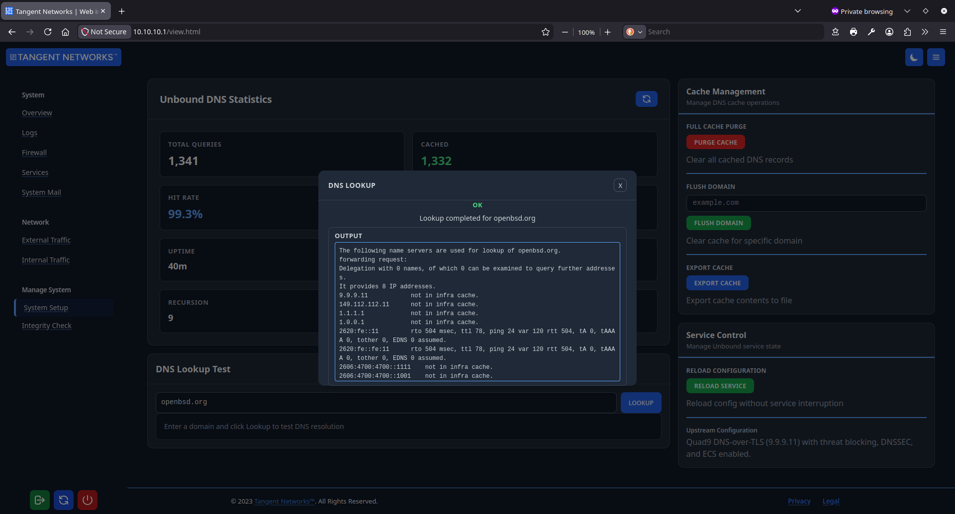 Unbound DNS Lookup Test